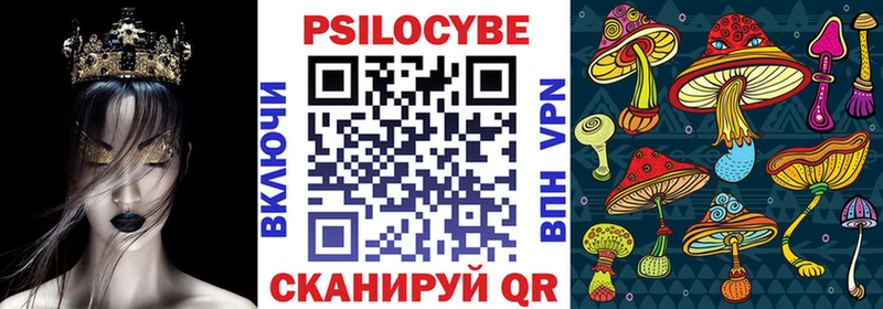 площадка как зайти  Бежецк  Псилоцибиновые грибы Magic Shrooms 